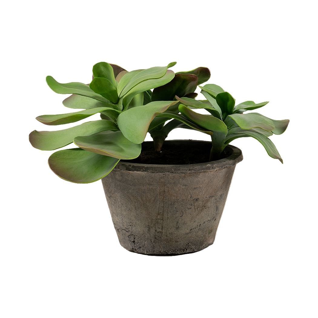 Marina Home Buy Online Butterfly Potted Plant Large,GREEN,FIBER
