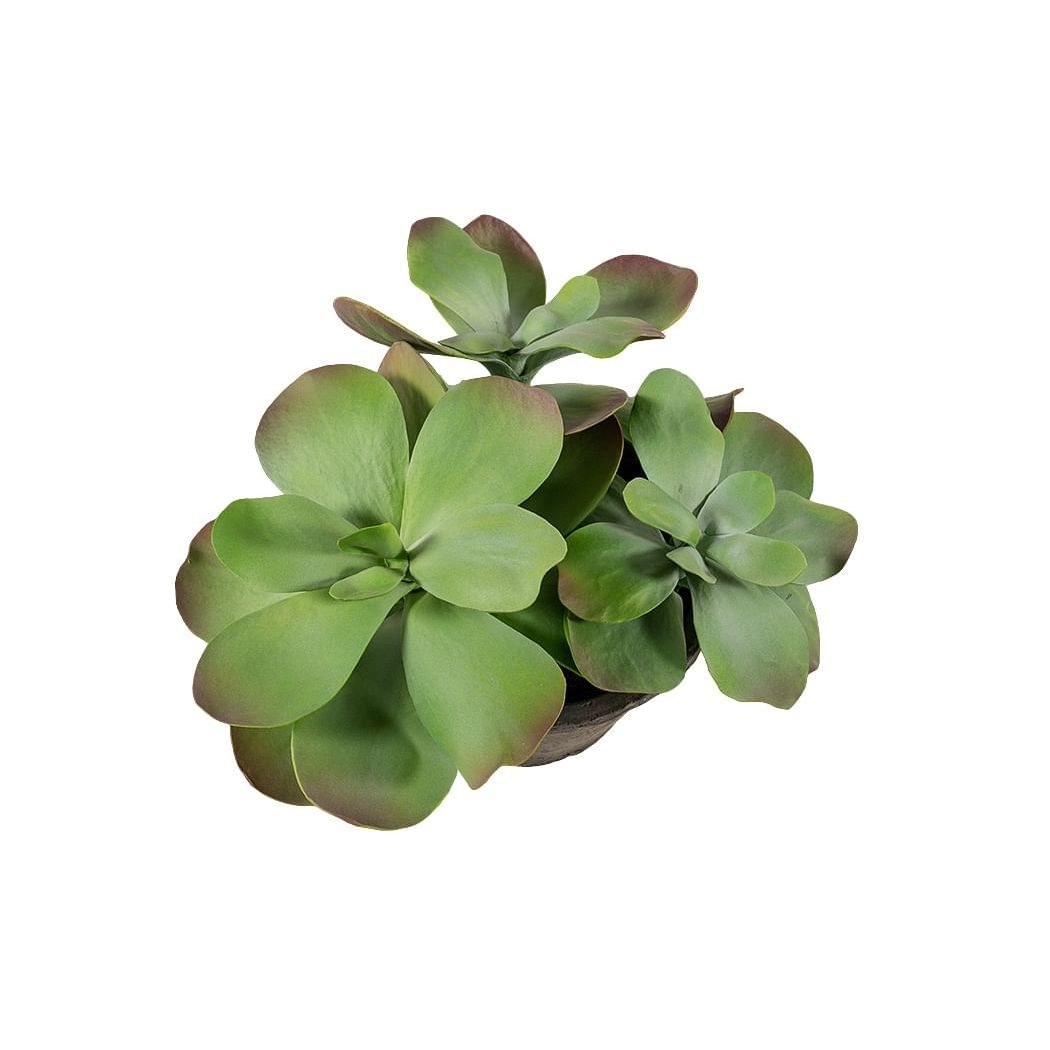 Marina Home Buy Online Butterfly Potted Plant Large,GREEN,FIBER