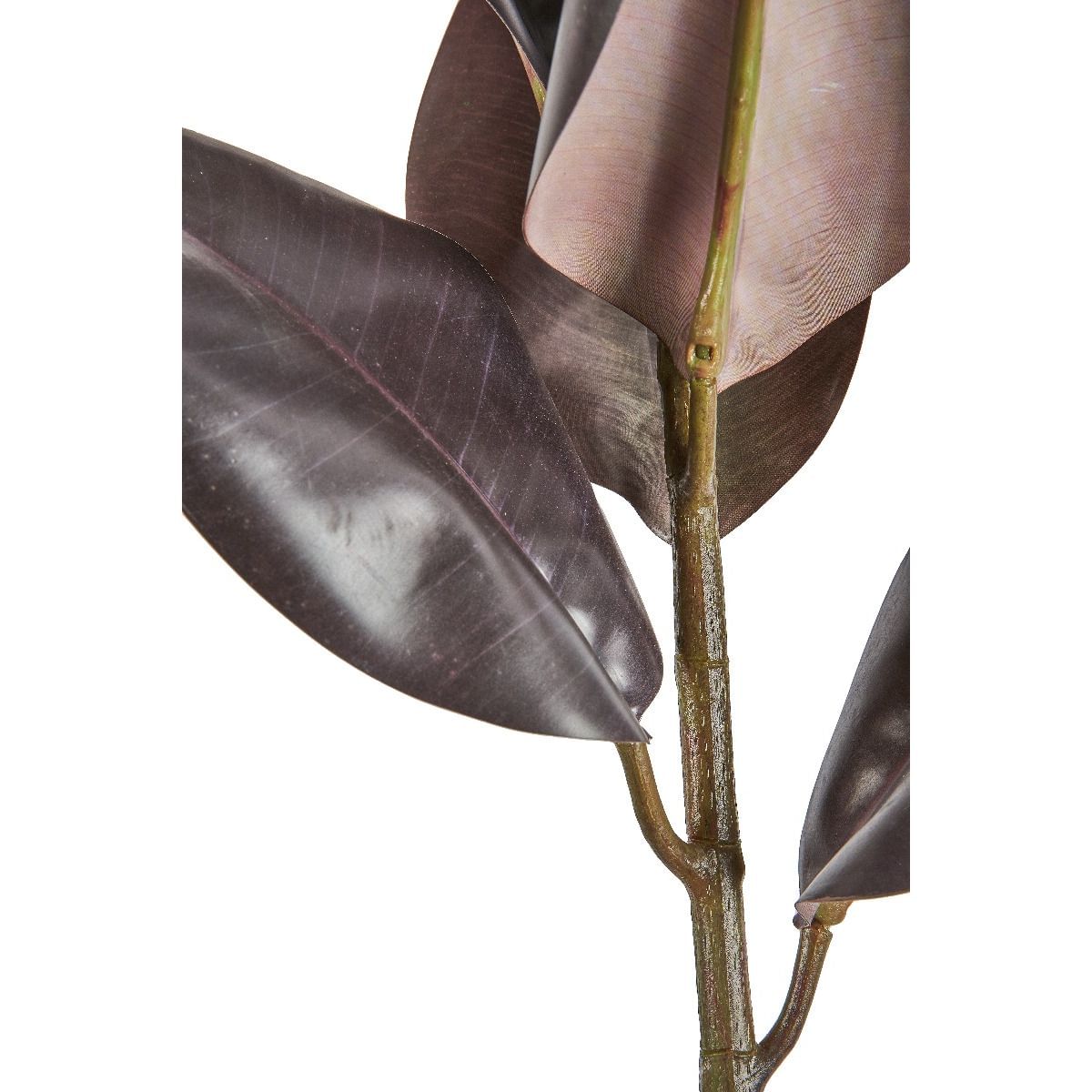 Rubber Plant Stem,Variegated,Wire,Decor,Greenery Marina Home Interiors