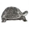 Flippy Turtle, SILVER color0