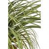 Yucca Faux Plant Small, GREEN color-2