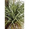 Yucca Faux Plant X-Large, GREEN color-3