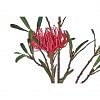 Protea Stem Faux Plant, RED color-1