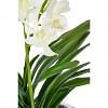 Vanda Faux Plant, WHITE color-1