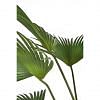 Fan Palm Faux Plant, GREEN color-1