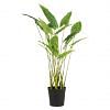 Zeberina Alocasia Faux Plant, GREEN color0