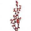 Ilex Branch, RED color-1