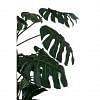 Monstera Faux Tree, GREEN color-1