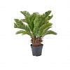 Cycas Faux Plant, GREEN color0