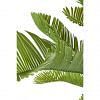 Cycas Faux Plant, GREEN color-1