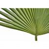 Fan Palm Stem Faux Leaf, GREEN color-1