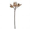 Protea Stem Faux Plant