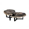 Fluger Petrified Wood Coffee Table - Short