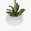 Orchid Potted Plant, MULTICOLOR color-2