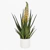 Aloe Vera Potted Plant, MULTICOLOR color0