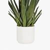Aloe Vera Potted Plant, MULTICOLOR color-2
