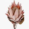 Protea Faux Flower