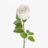 Rose Faux Flower, BEIGE color0