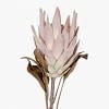 Protea Faux Flower, PINK color-2