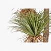 Yucca Potted Plant - Extra Large, GREEN color-1