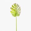 Monstera Faux Leaf, GREEN color-1