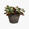 Butterfly Potted Plant - Small, GREEN color0