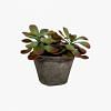 Butterfly Potted Plant - Small, GREEN color-2