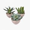 Aloe Vera Faux Plant, GREEN color-2