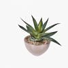 Aloe Vera Faux Plant, GREEN color0
