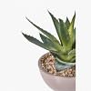Aloe Vera Faux Plant, GREEN color-1