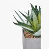 Aloe Vera Faux Plant, GREEN color-1