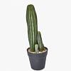 Cactus Faux Plant