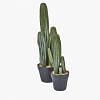 Cactus Faux Plant, GREEN color-1