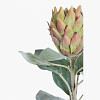 Protea Barbighera Faux Flower, GREEN color-1