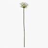 Agapanthus Stem Faux Flower, BEIGE color0