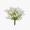 Agapanthus Stem Faux Flower, BEIGE color-1