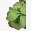 Butterfly Potted Plant - Large, GREEN color-2