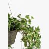 Hanging Ivy Faux Plant, GREEN color-1