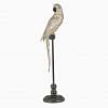 Bruce Parrot on stand - Tall