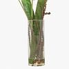 Exotic Plant Arrangement In Glass Vase