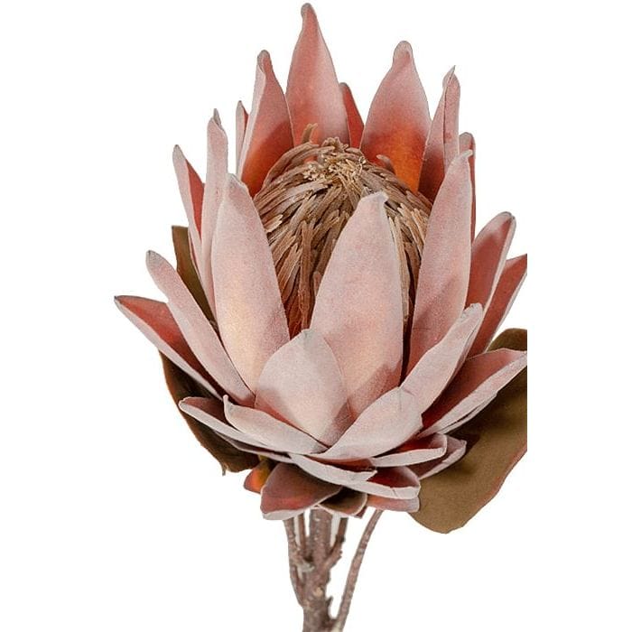 Marina Home Buy Online Protea Faux Flower,RED,FABRIC Marina Home