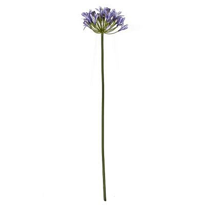Agapanthus Stem Faux Plant, BLUE color0
