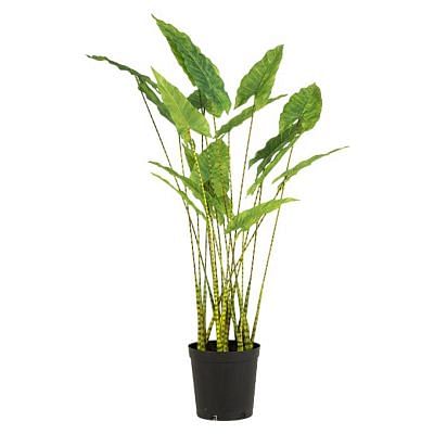 Zeberina Alocasia Faux Plant