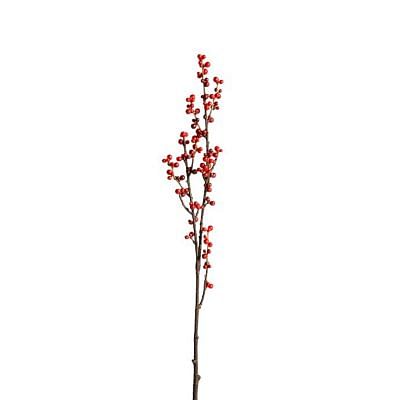 Ilex Branch, RED color0