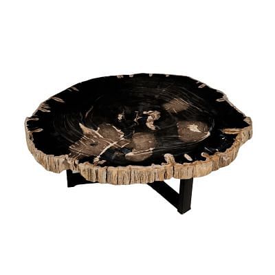 Fluger Petrified Wood Coffee Table - Short