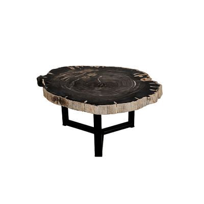 Fluger Petrified Wood Coffee Table - Tall