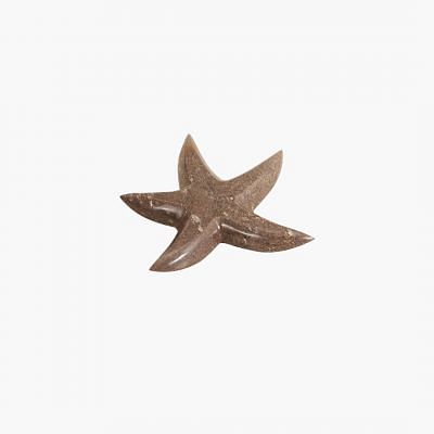 Majuli Deco Star Fish