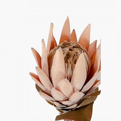 Protea Faux Flower, ORANGE color0