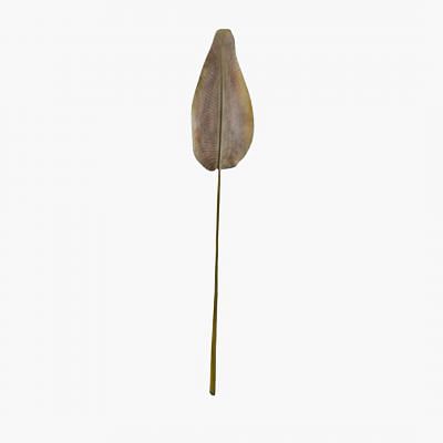 Bird Of Paradise Leaf, BROWN color0