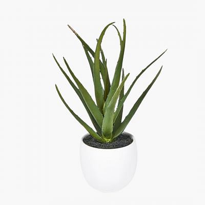 Aloe Vera Faux Plant, GREEN color0